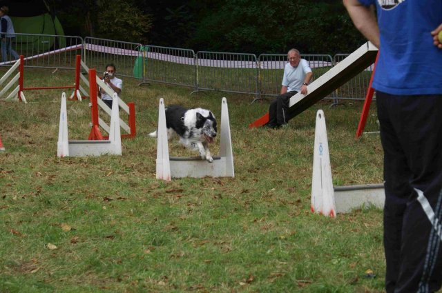 foire-haricots 2011-09-17et18